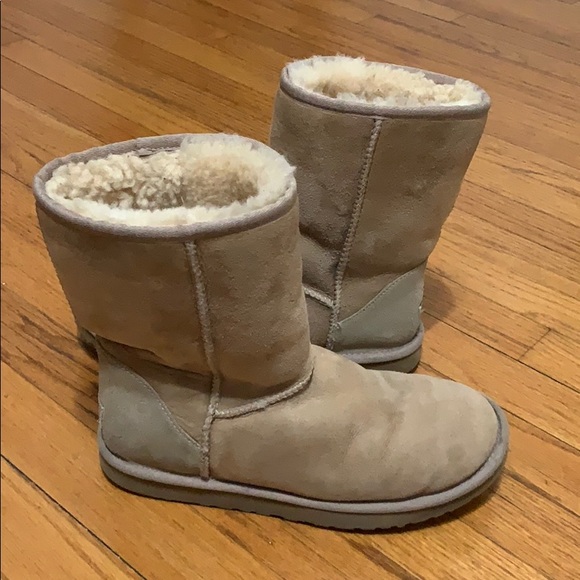 Tan Uggs - Picture 1 of 6